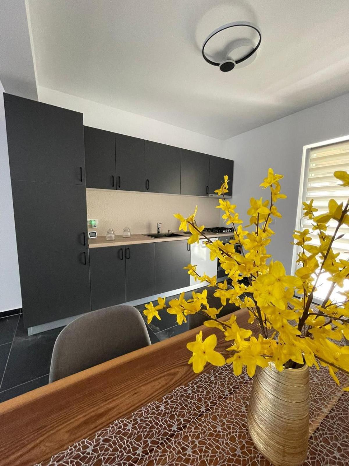 Bia Twin House Holiday home Arad